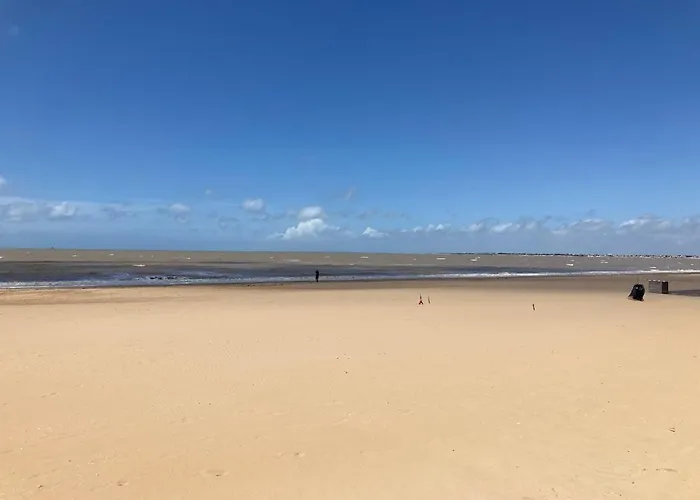 Mezzanines 50 M De La بيت للعطل